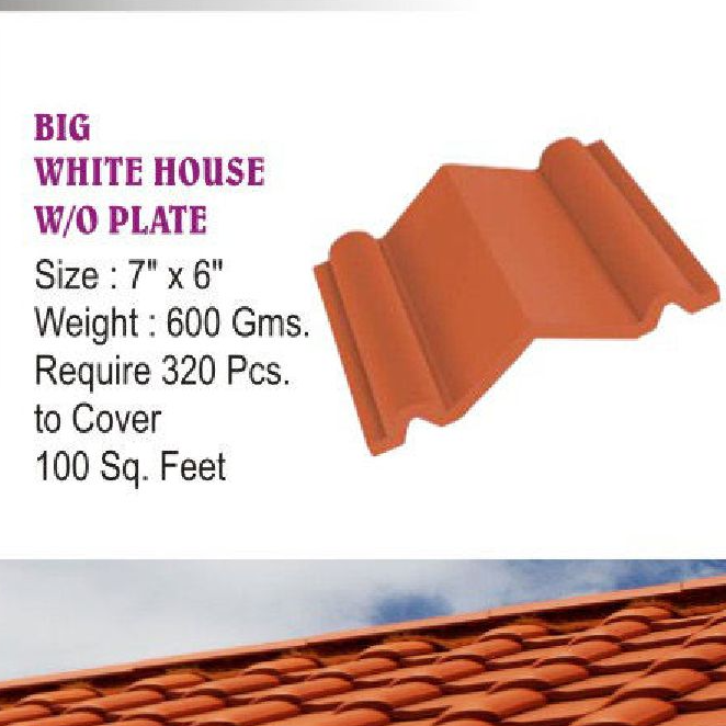 BIG WHITE HOUSE